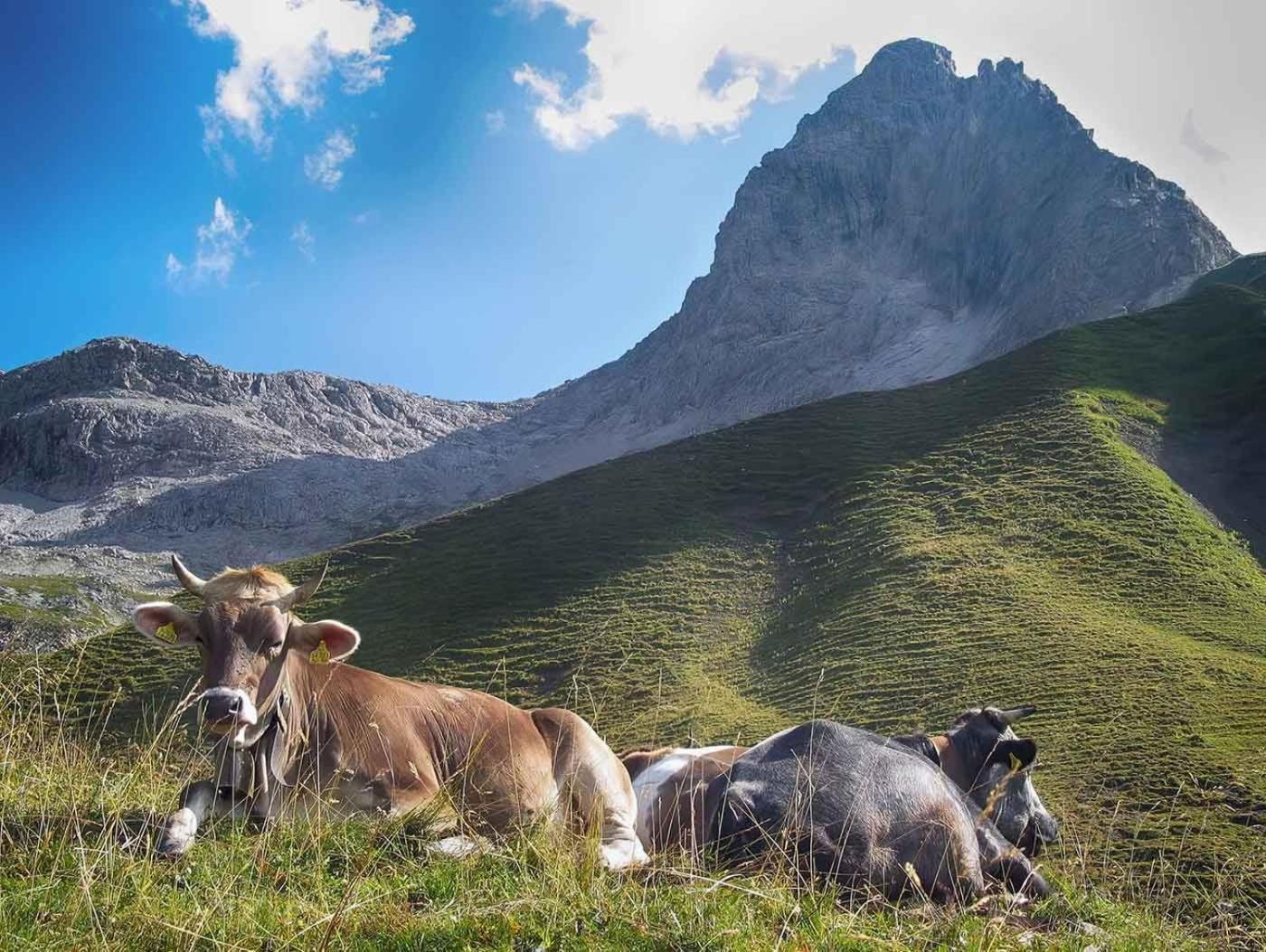 Haus Sylvest Leilighet Oberstdorf Eksteriør bilde